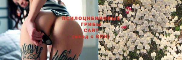 мдпв Переславль-Залесский