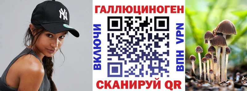 Псилоцибиновые грибы Magic Shrooms OMG вход Каменногорск