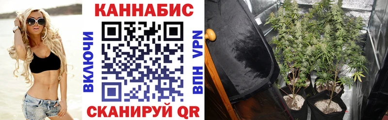 Бошки марихуана Amnesia Каменногорск